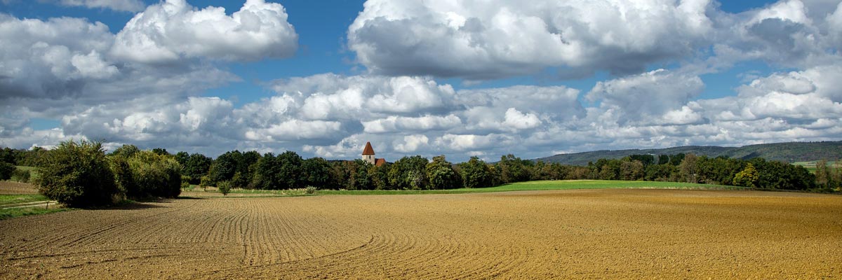Ein landwirtschaftliches Feld in Österreich